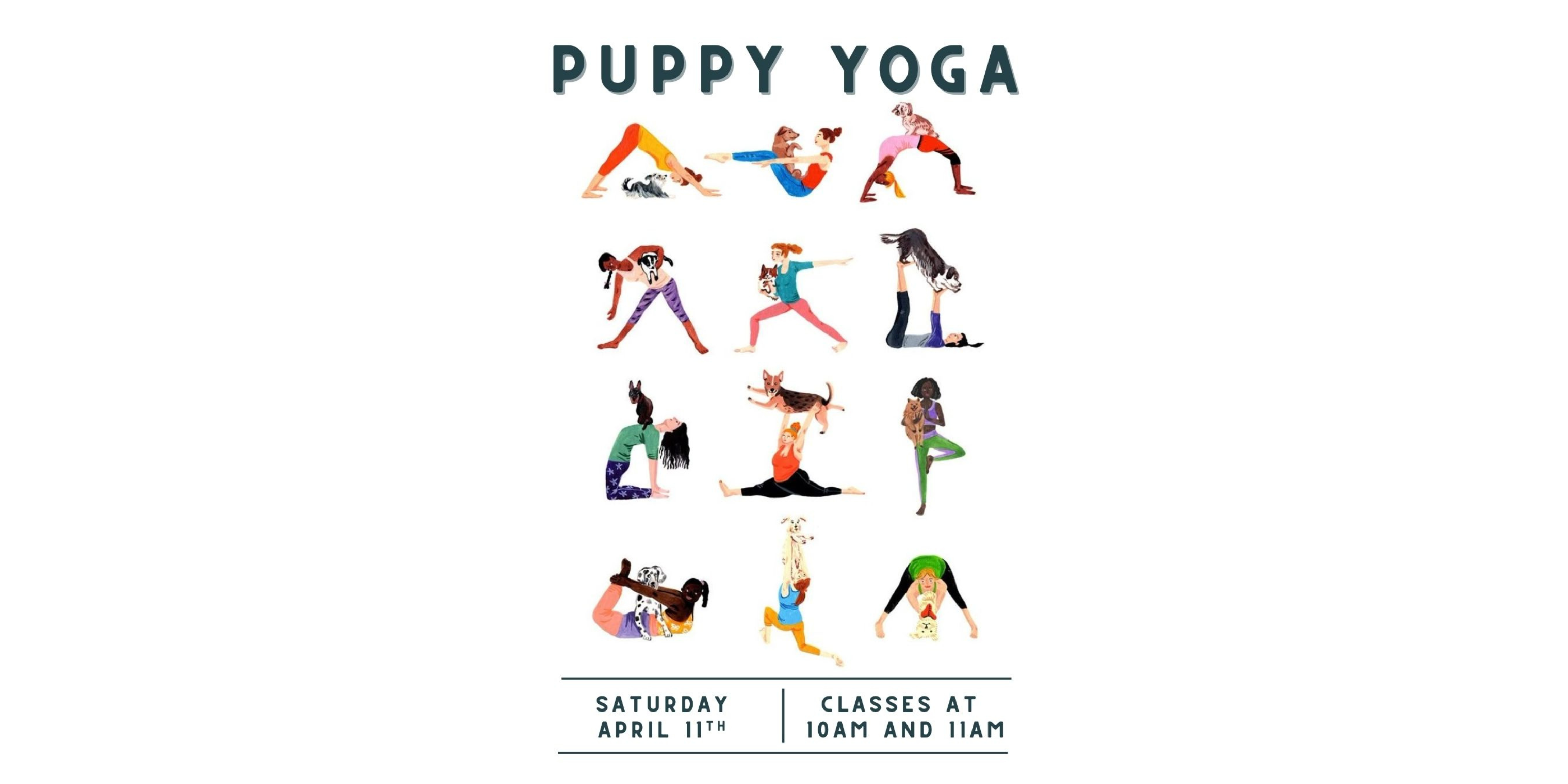 Puppy Yoga at Primal Huntersville